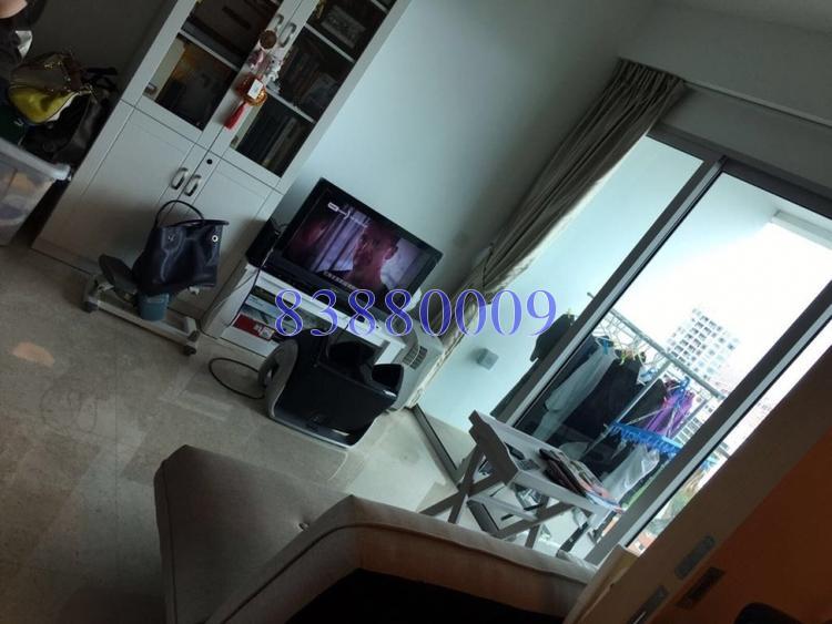 Eight Riversuites (D12), Condominium #161211412